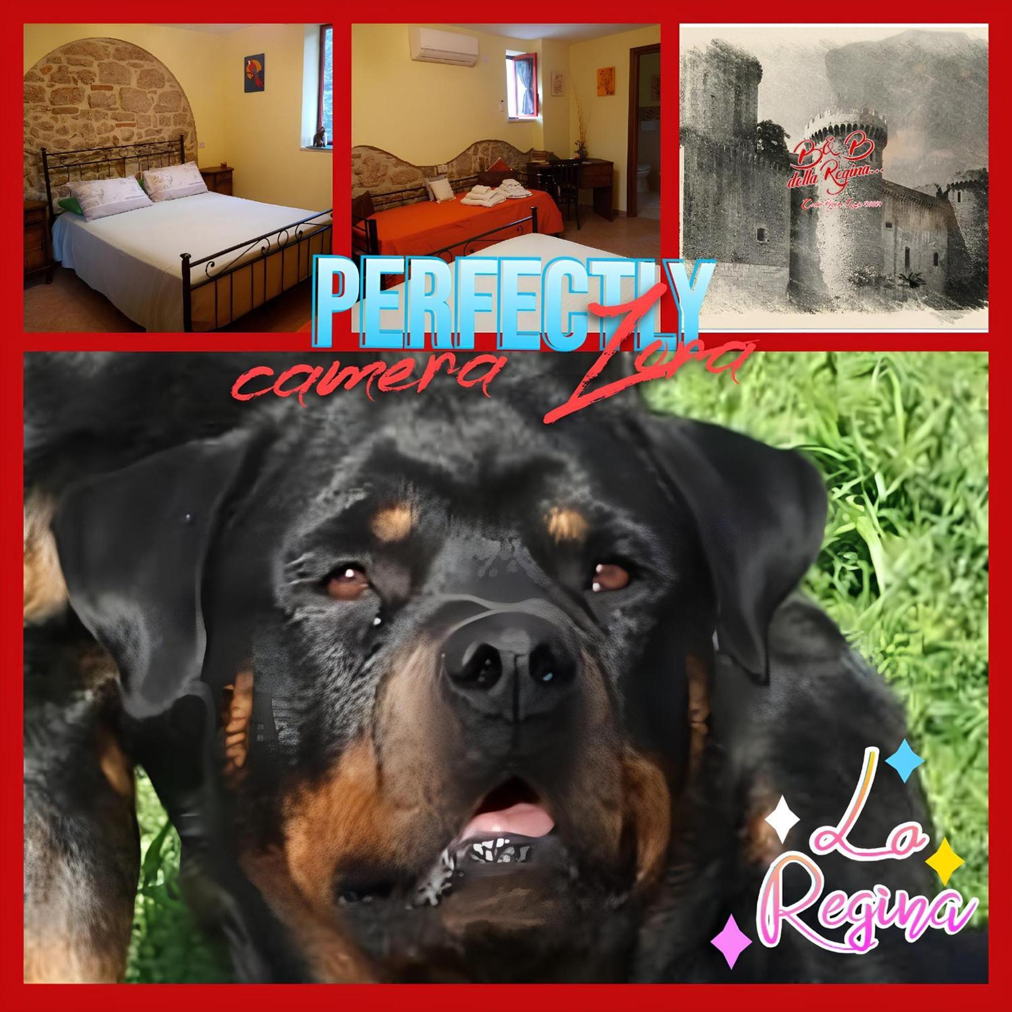 Bed And Breakfast Della Regina... Fondi Bagian luar foto